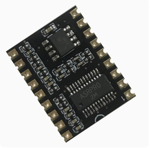 ASR-PRO ses akıllı konuşma tanıma kontrol modülü AI çevrimdışı tanıma geliştirme kurulu özel şartları - Product Image 4