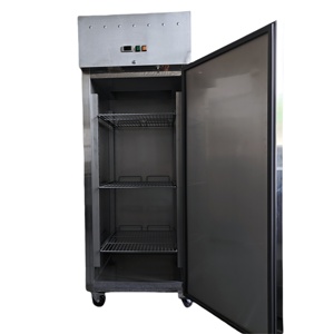 Tek sıcaklık dik çift kapılı Chiller ile ticari buzdolabı - Product Image 5