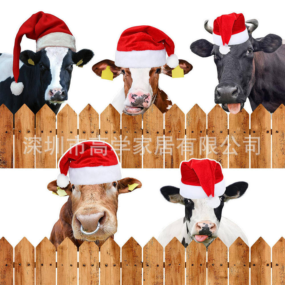 รั้วแอบดูทอม 2