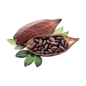 天然有机可可粉98% 多规格可可提取物10:1-100:1可可浓缩粉 - Product Image 4