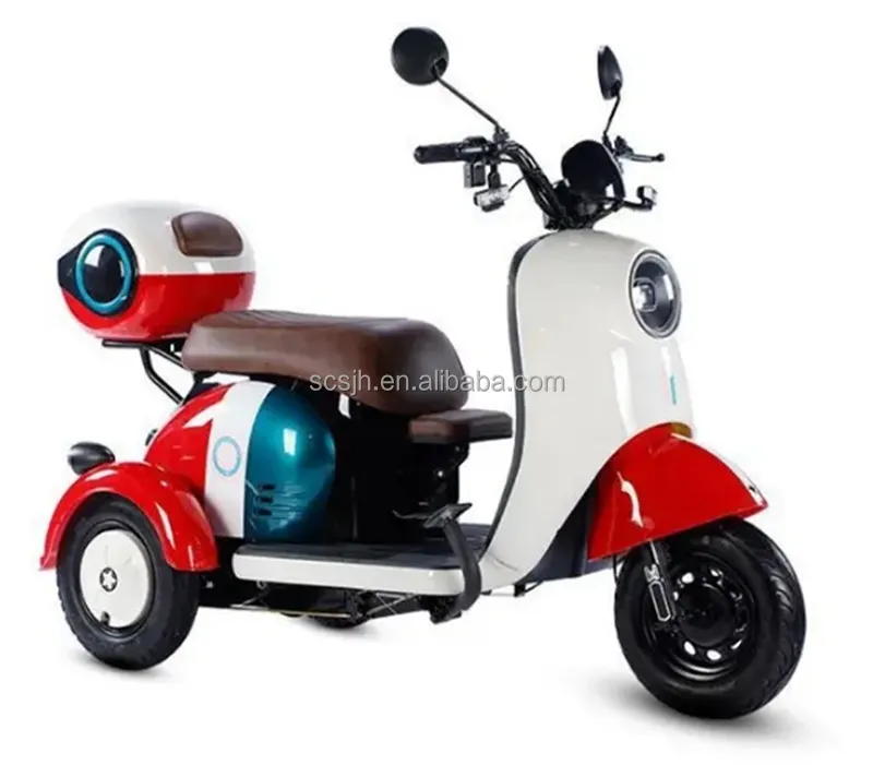 800W 48V Electric Tricycle for Adults Manned Electric Tricycles with Open Body 3-Wheel Electric Vehicle for kids for adults