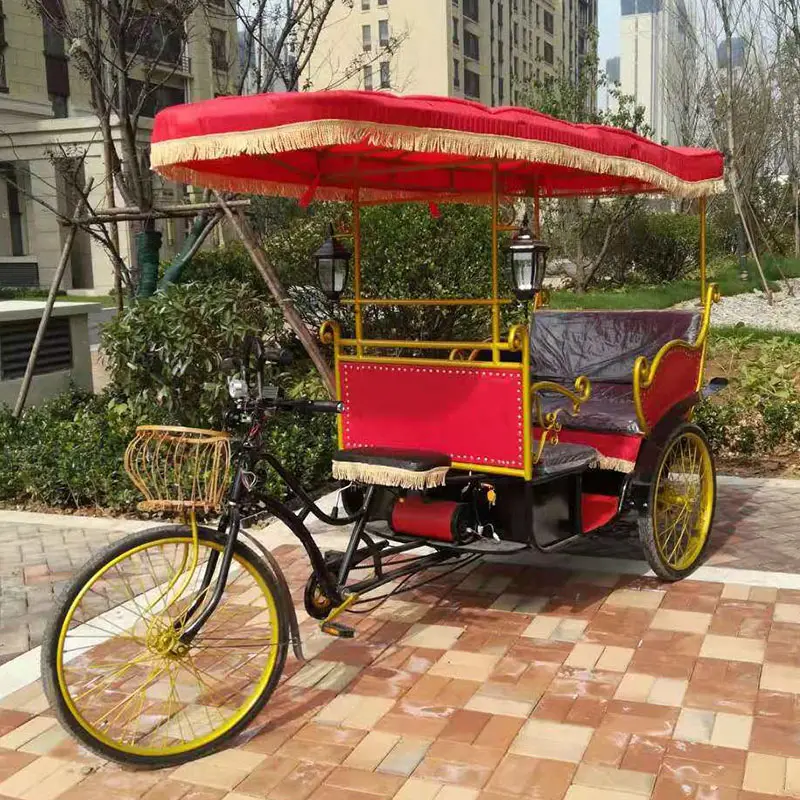 Pousse-pousse électrique à batterie automatique cyclo-pousse à vendre/pousse-pousse électrique/vélo taxi pour passagers