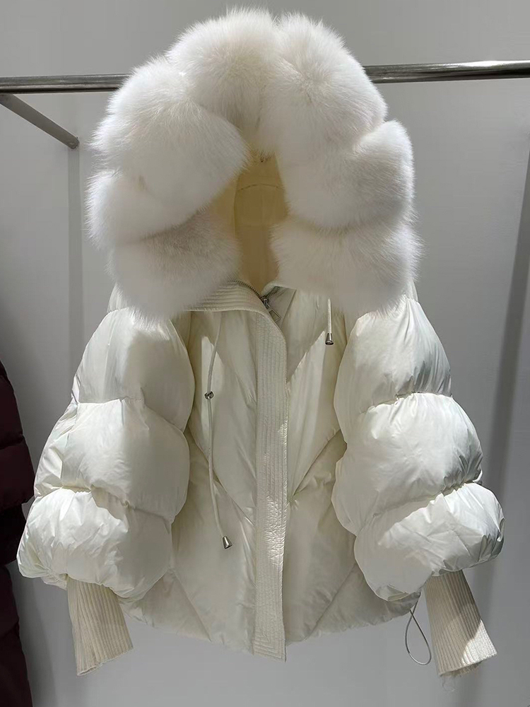 Renard beige beige