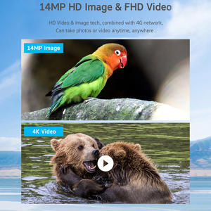 4Mp 4G güneş avcılık takip kamerası su geçirmez 20M P yaban hayatı avcılık kamera 4G yeşil Camo takip kamerası - Product Image 6