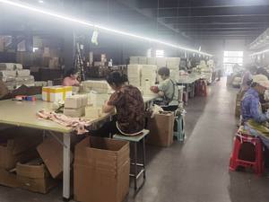 Factory Inspection/Pre-shipment Inspection/ Audit Inspection - Product Image 6