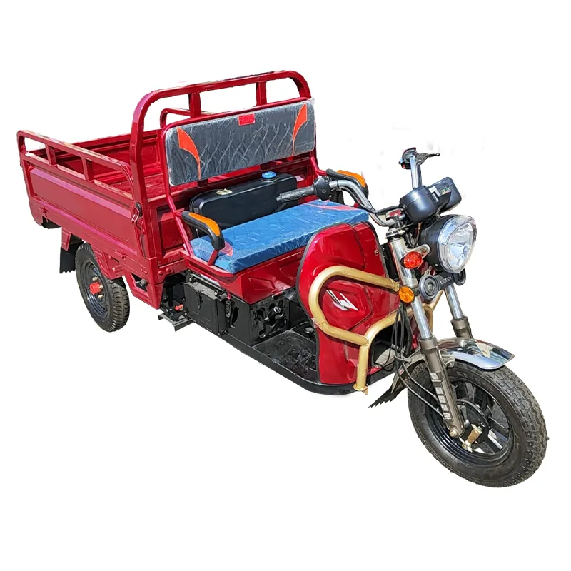 Sıcak satış yüksek kalite motorlu üç tekerlekli bisikletler üç tekerlekli motosiklet benzinli motorlu motosiklet