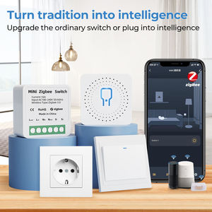 Tuya 16A2ウェイタイミングZigbeeコントローラースイッチモジュールDIYAPPミニスマートジグビースイッチforAlexa Google Home - Product Image 2