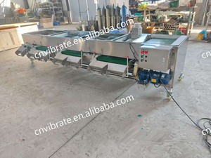 VBJX <strong>Automated</strong> Button Avocado Sorter Mushroom <strong>Sorting</strong> Olive Cherry Grader Elevator Conveyor <strong>Machine</strong> - Product Image 4