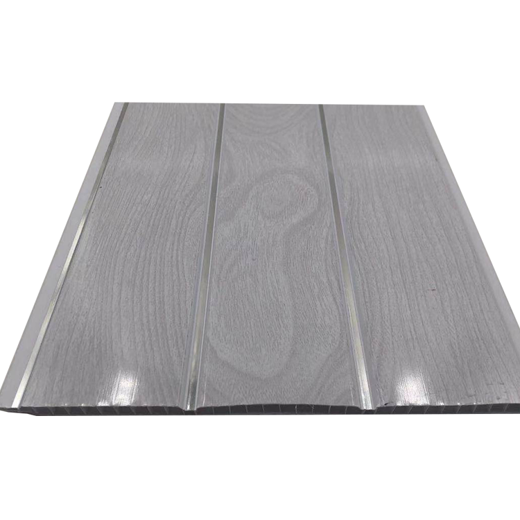 Ceiling Panels