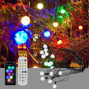 低電圧RGBリモコン付きFestoonライトLedガーデンボールライトAPPコントロールLedストリングライト - Product Image 2