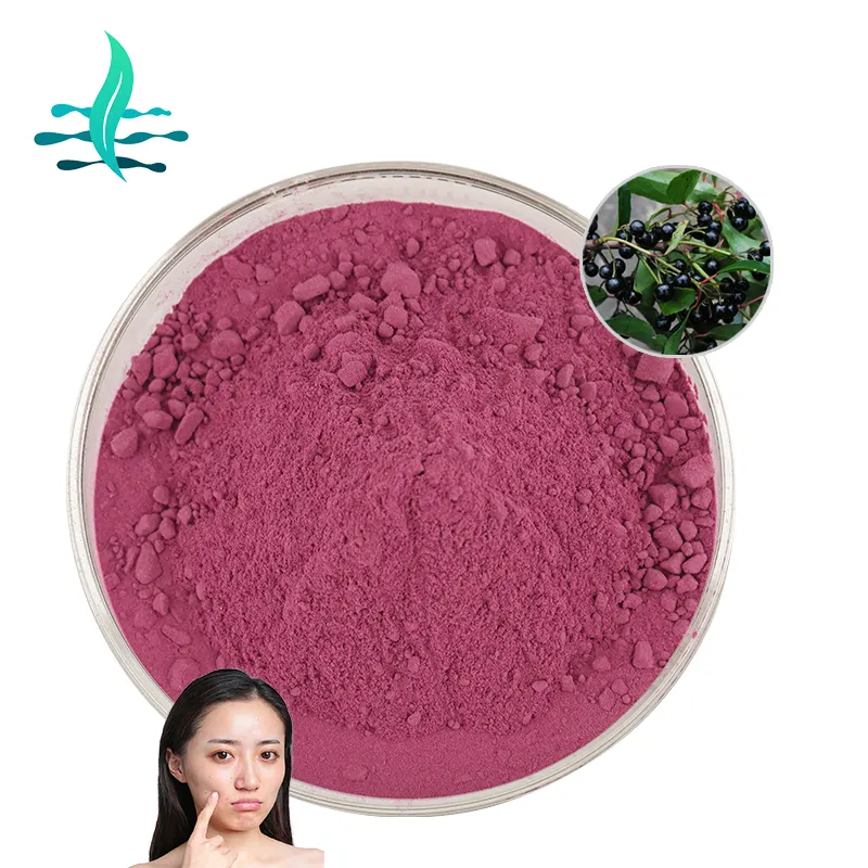 Açaí berry pó 100% Açaí Berry Extract Açaí Brasileiro Em Pó De Extração De Frutas Em Pó