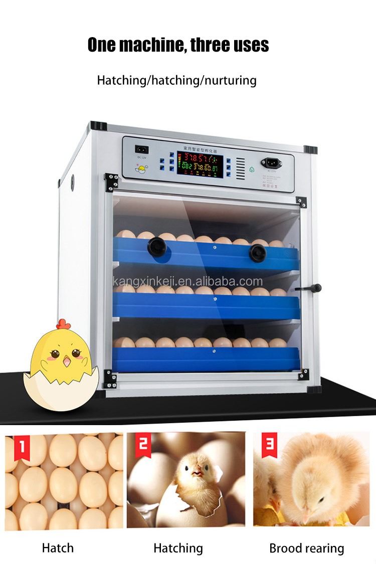 ミニ鶏卵インキュベーター68136204 272340卵孵化機12220V