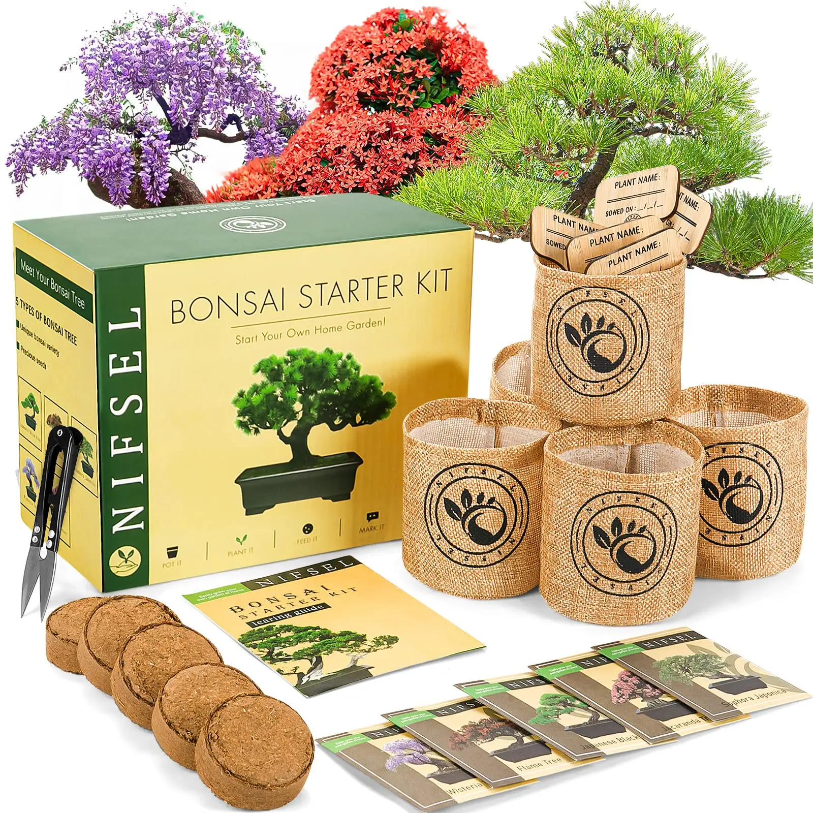 Kit para iniciante árvore de bonsai, kit de iniciante com 5 tipos de sementes/potes para crescimento de sua própria árvore de bonsai, jardim interno