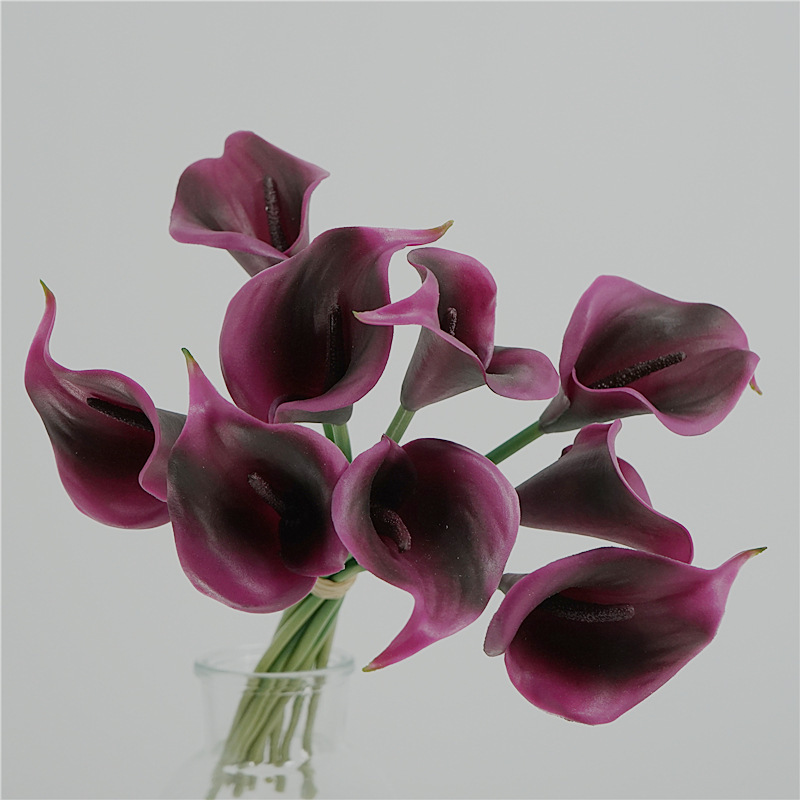 Bouquet de 9 Callas Violets