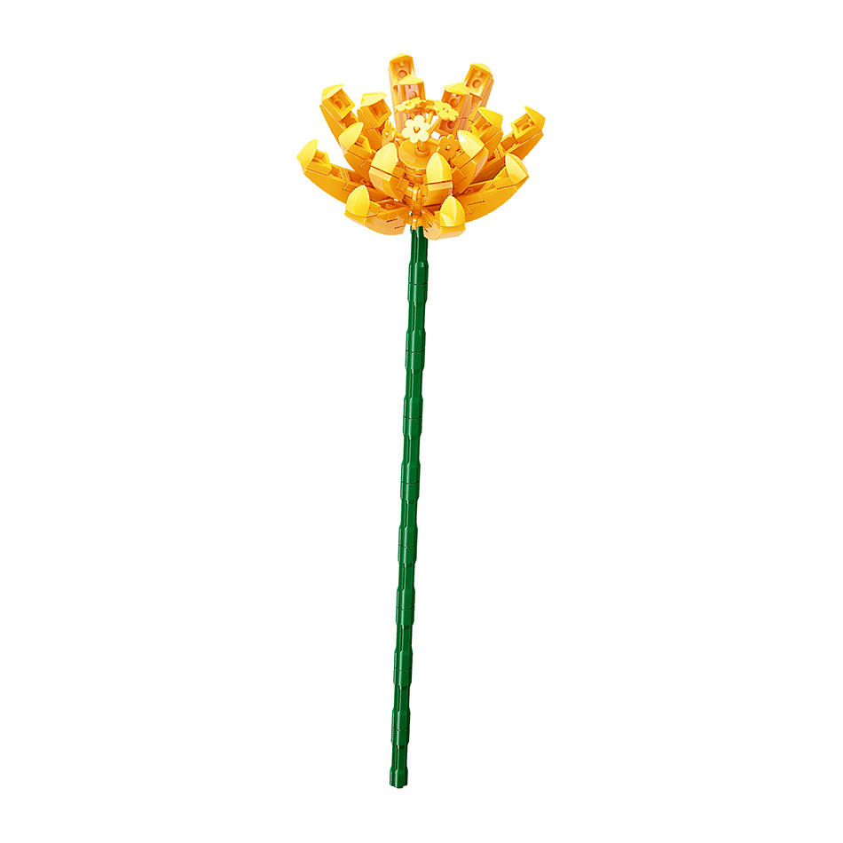 chrysanthème