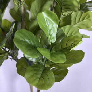 High Quality 180cm <strong>Fiddle</strong> Tree Artificial <strong>Fiddle</strong> Tree Faux Green Plant With Pot Artificial Tree for Decoration - Product Image 3