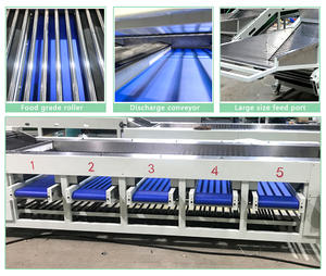 市販の選別機アボカドトマトアップルマンゴーメロンポテトサイズ選別機 - Product Image 5