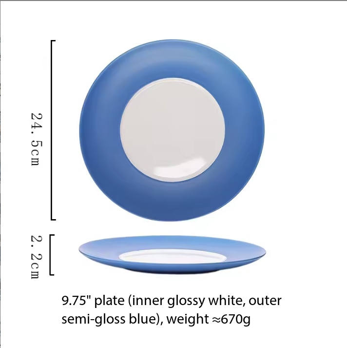disque bleu + blanc de 9,75 pouces