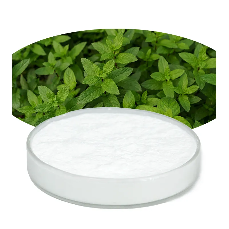 stevia in massen schätzstoffpulver stevia blattenextrakt rebaudiana stevia