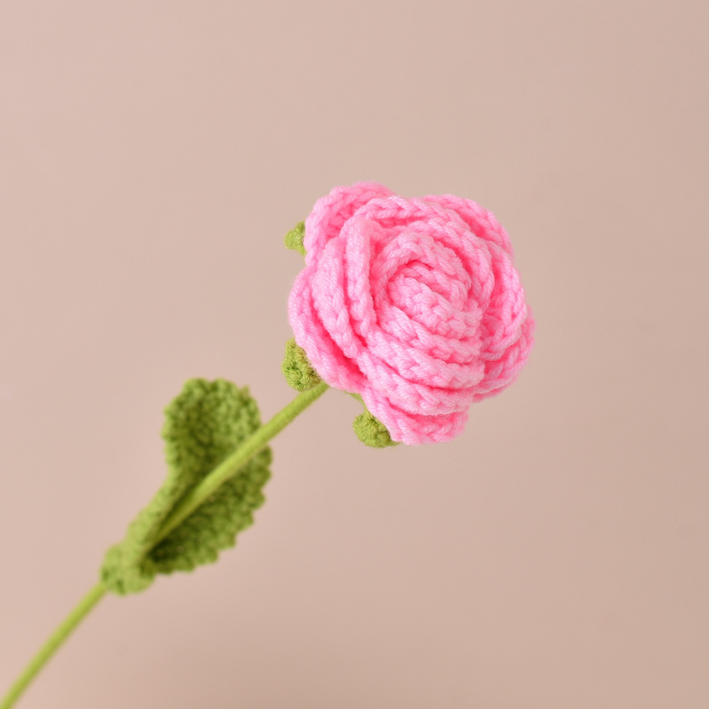 Pink Roses