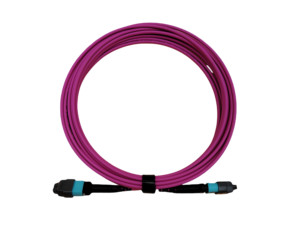 Fast Delivery OM4 <strong>MTP</strong>/MPO to <strong>MTP</strong>/MPO 12 Strand Female Multi-Fiber PatchCable 100G - Product Image 3