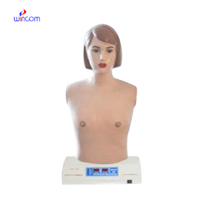 Palpación de auscultación cardiopulmonar completamente automática, simulación de ordenador, modelo de palpación, simulador de Maniquí de enseñanza, WN-M-10A - Product Image 1