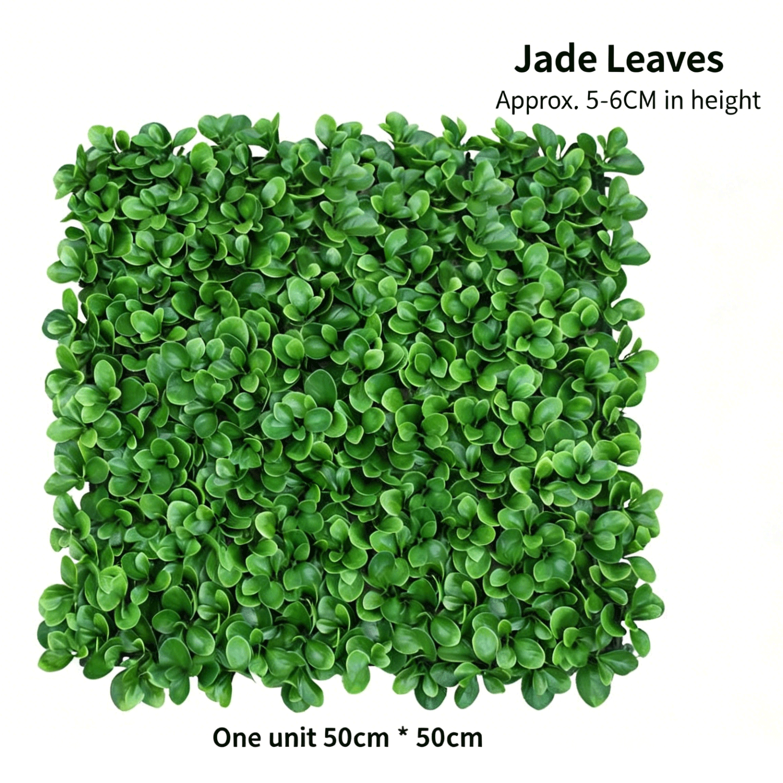 Feuilles de jade