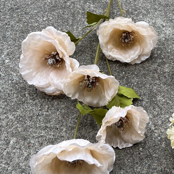 085 grand champagne coquelicot