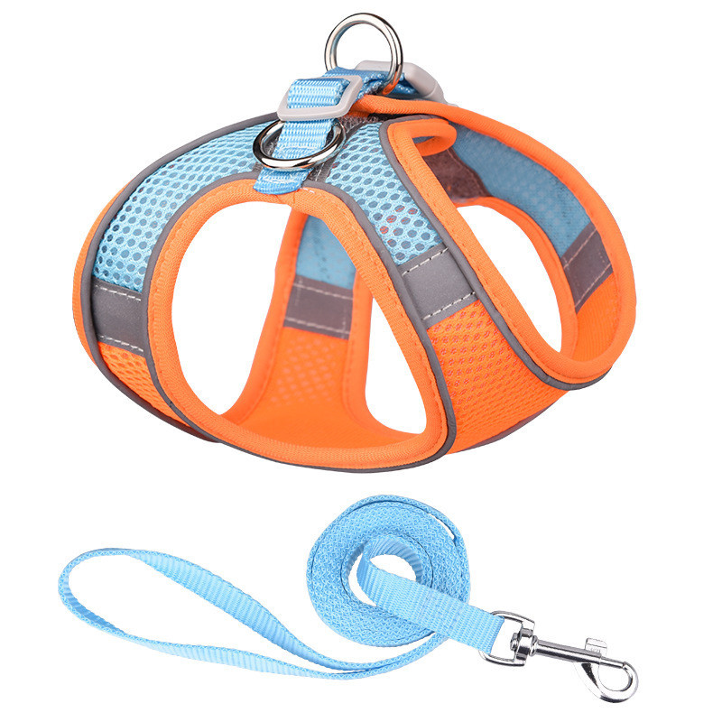 Orange blue