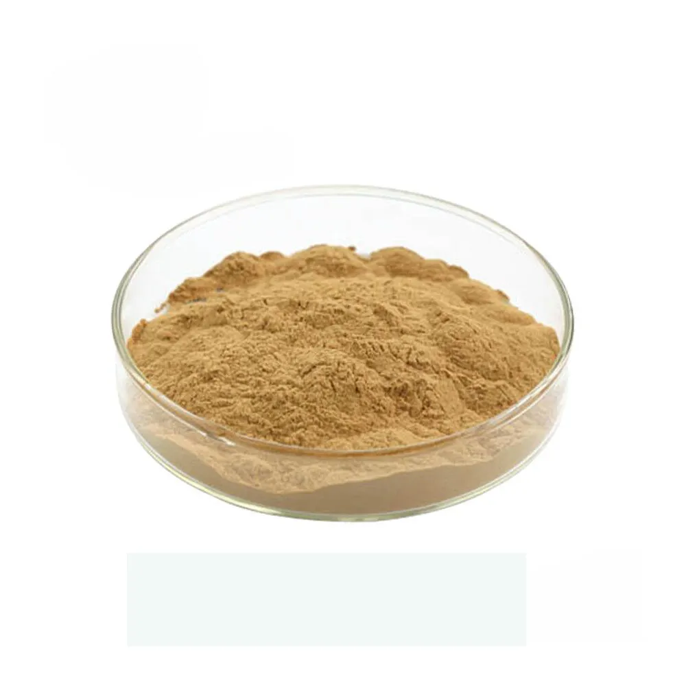 Extracto de hoja de alcachofa natural en polvo 2.5% cinarina 5% cinarina