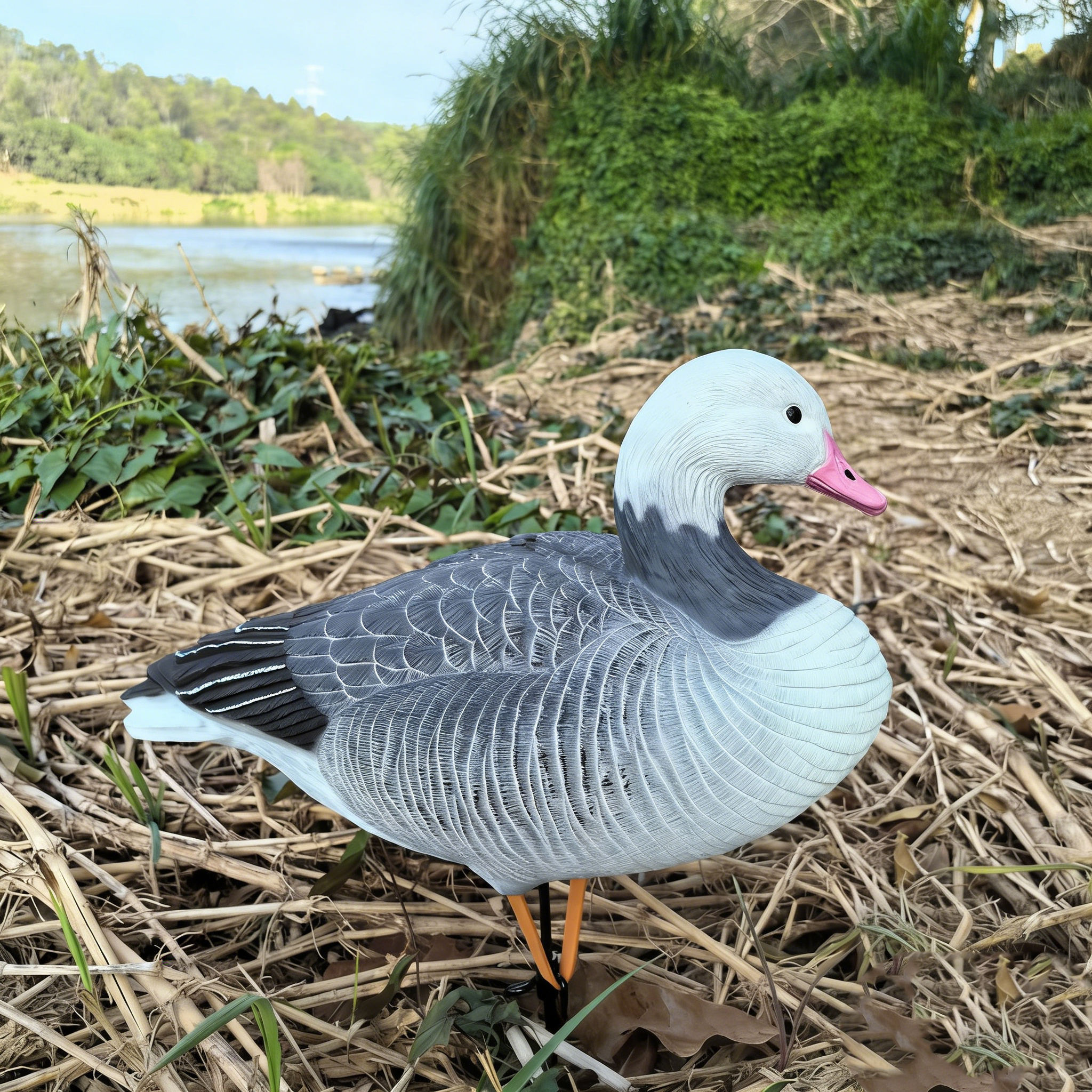 สีน้ำตาล