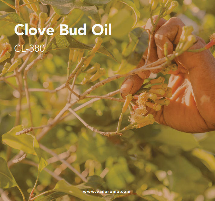 Clair à jaune pâle