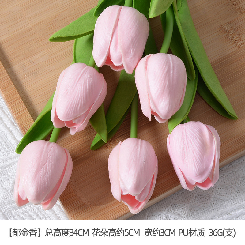 Poudre de bonbon tulipe