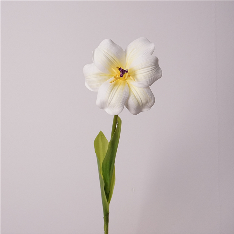 Smiley tulipe blanc