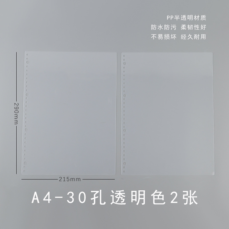 A4 Transparent (2 sheets with PP cover)