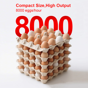 Hoch auflösendes, schnell trocknendes, variables Datum Produktions datum Chargen nummer Logo Egg Coding Stamp ing Machine - Product Image 6