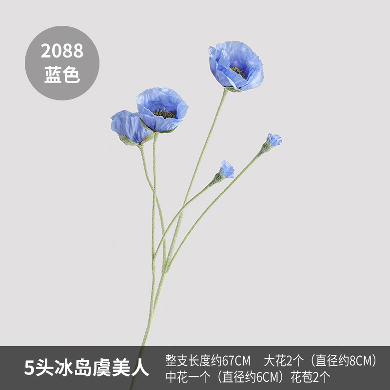 2088 blue