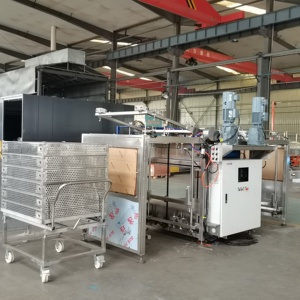 ZLPH Pouch Sterilization Line Alum.loader Unloader Machine Use Sterilizer Retort <strong>Loading</strong> <strong>Unloading</strong> <strong>System</strong> - Product Image 4