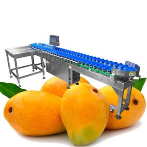 Máquina clasificadora de peso rotativa automática Máquina clasificadora de frutas Máquina clasificadora de mango