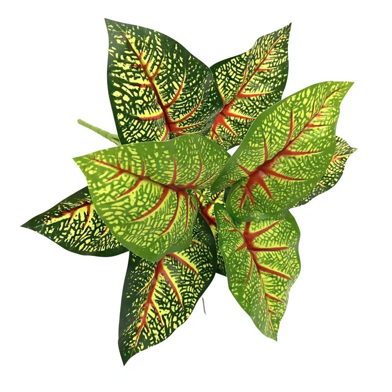 9-Fourche Noyau Rouge Ananas
