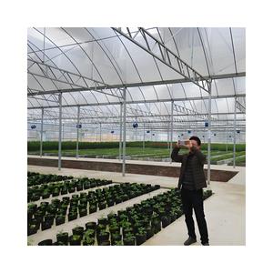 室外温室金属框架农业农业商业大型多跨度塑料植物温室