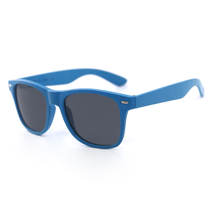 Verres : noirs + monture : bleue