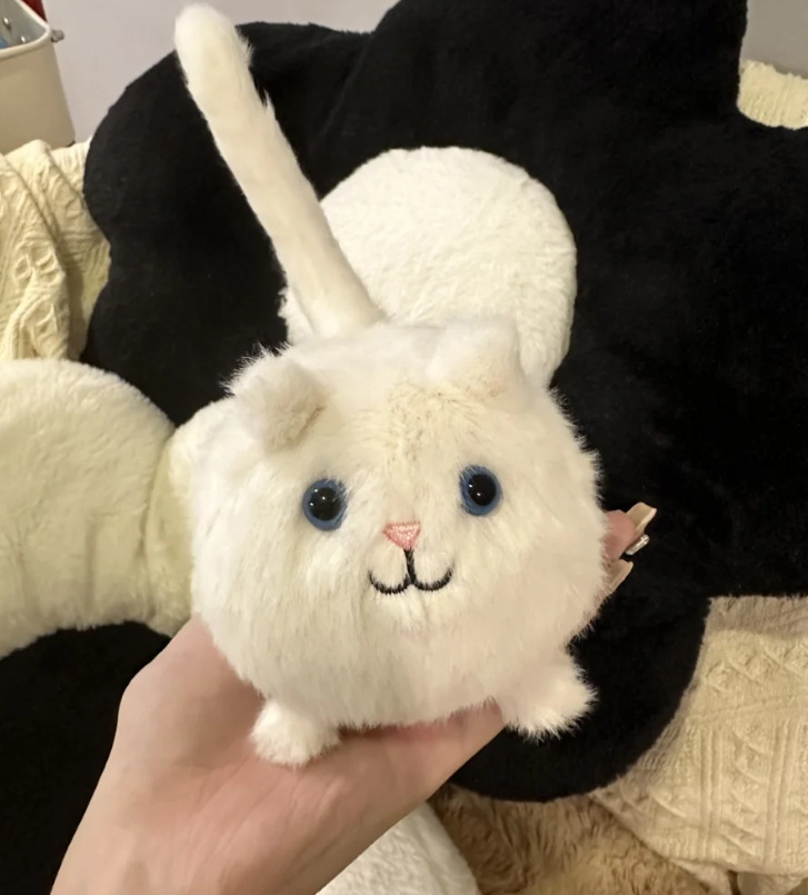 Cabo chat blanc