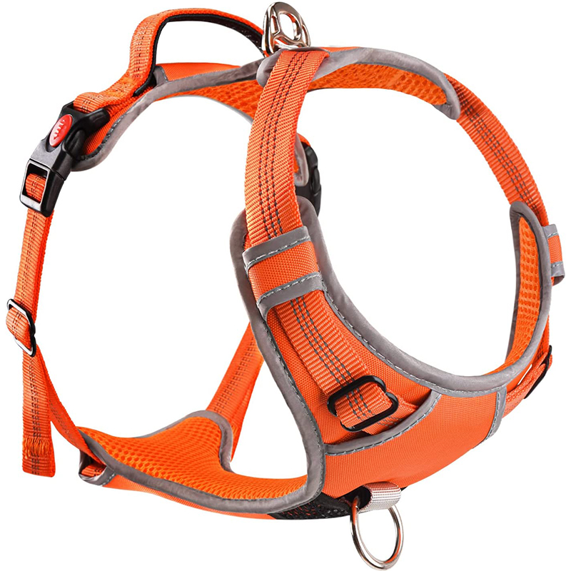 Orange néon