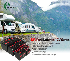 电力系统用具有竞争力的价格多规格锂电池12V Lifepo4电池 - Product Image 5