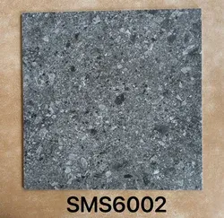 SMS66025