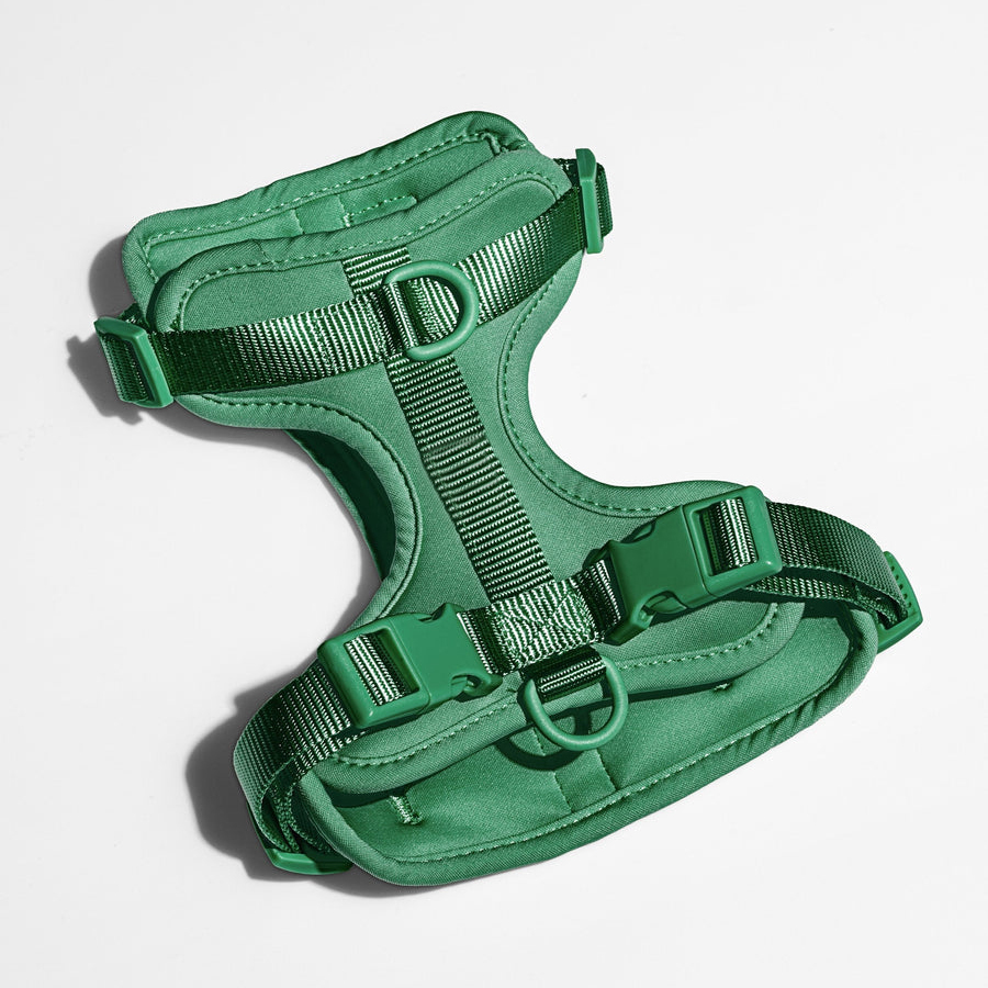 Vert foncé