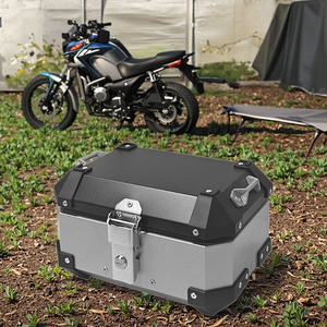 13Lシルバー超小型ミニトランクオートバイ電気自動車で一般的 - Product Image 6