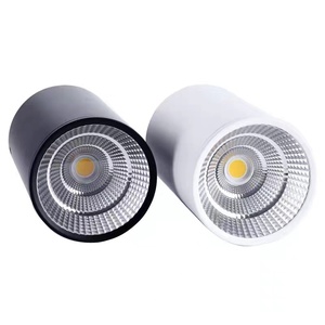 <strong>IP65</strong> Waterproof 12W COB LED Surface Mounted Down Spotlight Suspended Wire Ceiling Light 5 Year Warranty AC85-265V