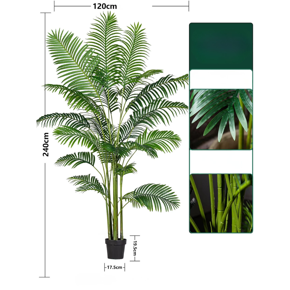 Lames épaissies agrandies de palmier arec géant vert de 2,4 m